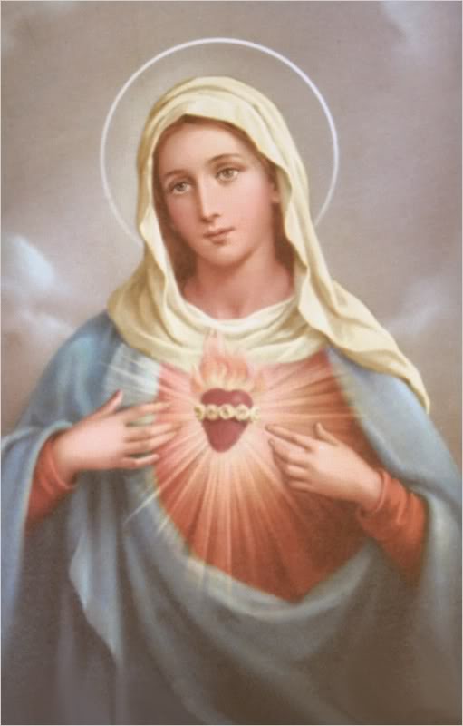 Immaculate Heart of Mary - Communio